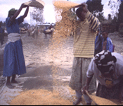 Seeds Of Hope Seeds Of Hope
